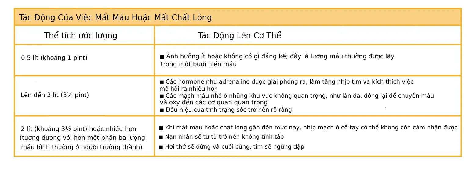 Tinh Trang Soc Cach Nhan Biet va Xu Ly 2