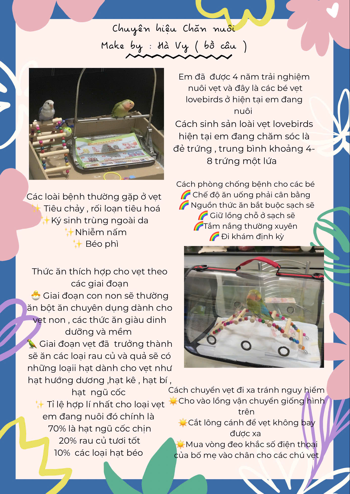Huong Dan Cach Nuoi Vet – Nguyen Ho Ha Vy – Thieu Nu Doi Bo Cau