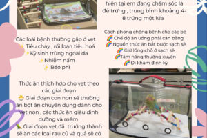 Huong Dan Cach Nuoi Vet – Nguyen Ho Ha Vy – Thieu Nu Doi Bo Cau